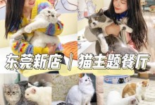 以大厨猫咪出装攻略为主题的详细分析（精心选择装备，让大厨猫咪成为绝世厨艺大师）