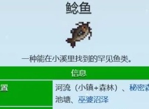 星露谷物语鲶鱼在哪钓 星露谷物语鲶鱼出现的时间
