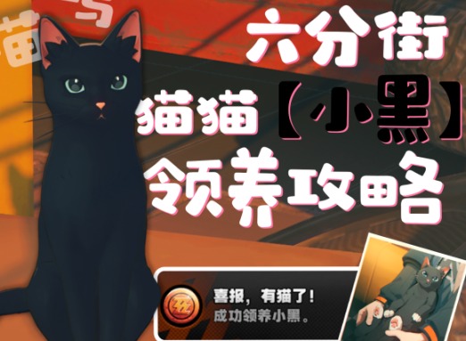 绝区零小黑猫怎么领养 绝区零领养小黑猫攻略
