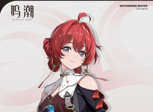 鸣潮丹瑾武器怎么选择 鸣潮丹瑾武器推荐排行攻略