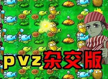 植物大战僵尸杂交版存档替换方法 pvz杂交版存档替换方法