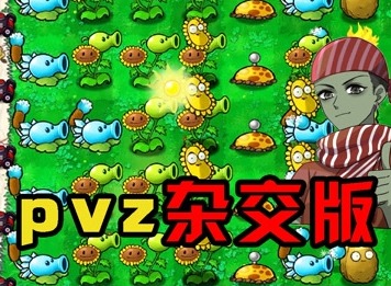 植物大战僵尸杂交版2.1版全屏方法 pvz杂交版2.1最新全屏方法