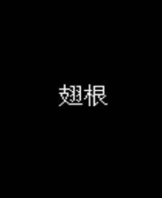 《刀鱼传奇》简体中文免安装版